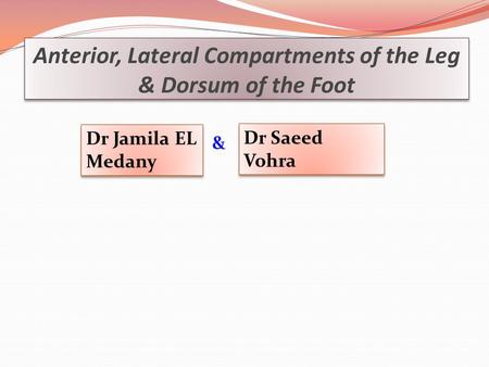 Anterior, Lateral Compartments of the Leg & Dorsum of the Foot