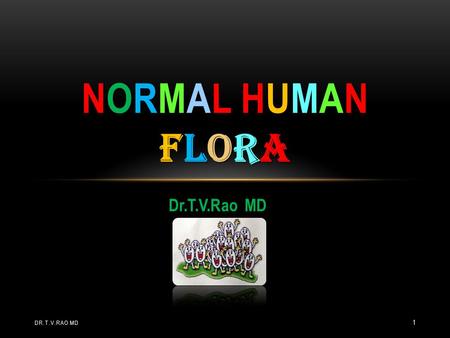 Normal human flora Dr.T.V.Rao MD Dr.T.V.Rao MD.