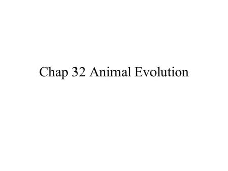 Chap 32 Animal Evolution. ( 1) Animals are multicellular, heterotrophic eukaryotes. –They must take in preformed organic molecules through ingestion,