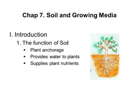 Chap 7. Soil and Growing Media I. Introduction 1. The function of Soil  Plant anchorage  Provides water to plants  Supplies plant nutrients.