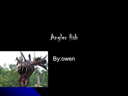 Angler fish By:owen