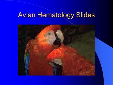 Avian Hematology Slides