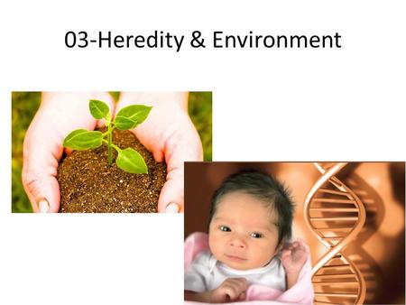 03-Heredity & Environment. Chromosomes are molecules of: A. genotype B. deoxyribonucleic acid (DNA). C. gamete. D. phenotype.