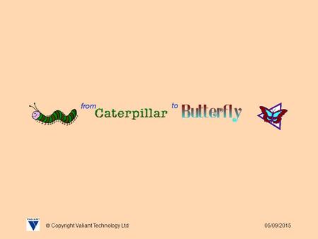 05/09/2015  Copyright Valiant Technology Ltd. 05/09/2015  Copyright Valiant Technology Ltd From Caterpillar to Butterfly Our local Nursery school, like.