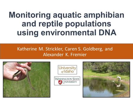 Monitoring aquatic amphibian and reptile populations using environmental DNA Katherine M. Strickler, Caren S. Goldberg, and Alexander K. Fremier.