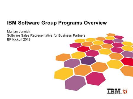 IBM Software Group Programs Overview
