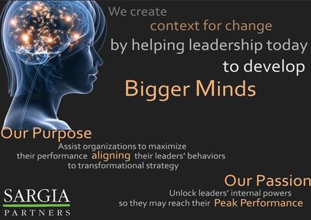 Scope Aligning Behavioral Strategy with Change Strategy …starting from the TOP! Align Navigate Accelerate Redefine Transform.