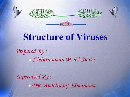 Structure of Viruses Prepared By : Abdulrahman M. El-Sha'er Supervised By : DR. Abdelraouf Elmanama.