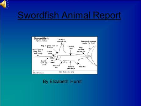 Swordfish Animal Report By Elizabeth Hurst Introduction Have you ever heard of a swordfish? Did you ever want to learn about them? Swordfish are awesome.