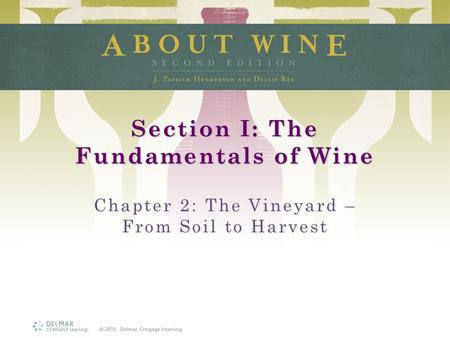 Section I: The Fundamentals of Wine Chapter 2: The Vineyard – From Soil to Harvest.