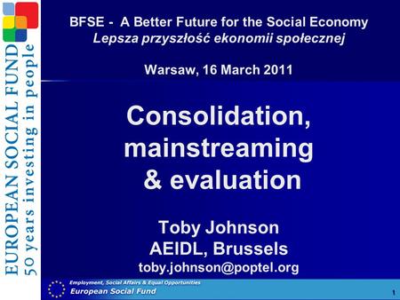 BFSE - A Better Future for the Social Economy Lepsza przyszłość ekonomii społecznej Warsaw, 16 March 2011 Consolidation, mainstreaming & evaluation Toby.