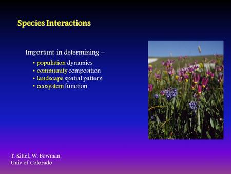 Species Interactions Important in determining – population dynamics community composition landscape spatial pattern ecosystem function T. Kittel, W. Bowman.