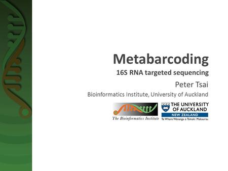 Metabarcoding 16S RNA targeted sequencing