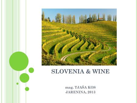 SLOVENIA & WINE mag. TJAŠA KOS JARENINA, 2013. SLOVENIAN WINES love, effort and knowledge as a greater possibility to succeed natural resources excellent.
