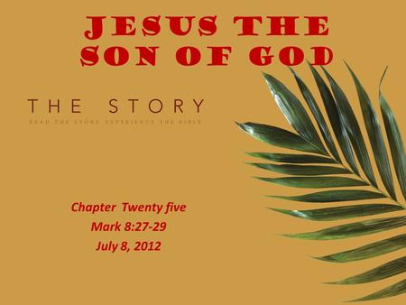 JESUS THE SON OF GOD Chapter Twenty five Mark 8:27-29 July 8, 2012.