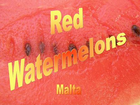 Watermelons Watermelon is an ideal health food because it doesn't contain any fat or cholesterol, is high in fiber and vitamins A & C and is a good.
