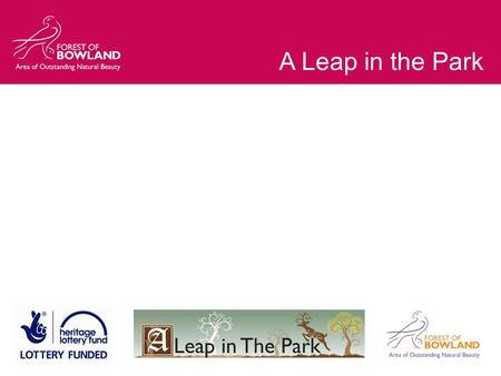 A Leap in the Park. Influencing life in and around the Bowland Deer Parks 1485 – 1603.
