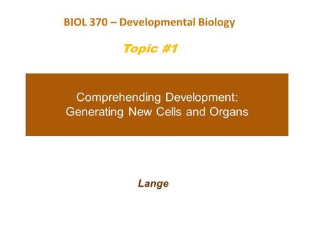 Comprehending Development: Generating New Cells and Organs