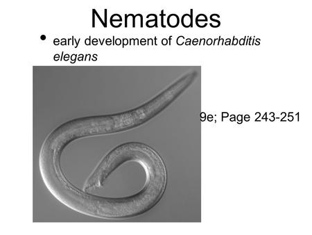 Nematodes early development of Caenorhabditis elegans 9e; Page 243-251.