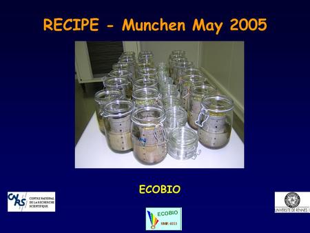RECIPE - Munchen May 2005 ECOBIO. Influence of vegetation cover and age of regeneration stages on C and N soluble and microbial variables K-W test P-ValuesSOCSONSOC/SON.