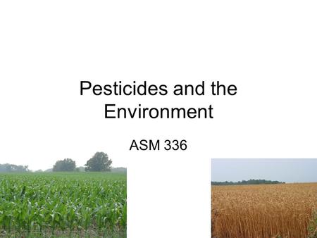 Pesticides and the Environment ASM 336. Pesticides Goal: to stop or limit pest occurrence Types: –Insecticides – kill insects –Herbicides – kill weeds.