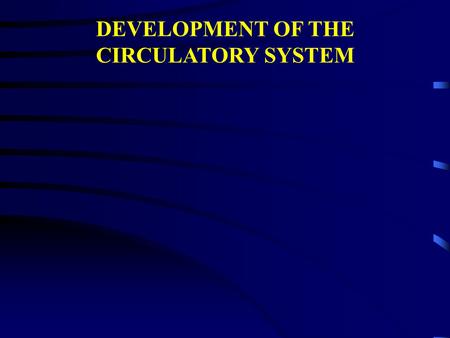 DEVELOPMENT OF THE CIRCULATORY SYSTEM