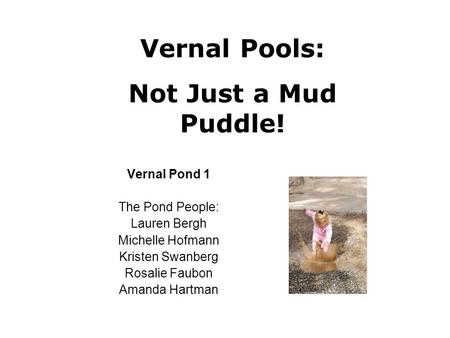 Vernal Pond 1 The Pond People: Lauren Bergh Michelle Hofmann Kristen Swanberg Rosalie Faubon Amanda Hartman Vernal Pools: Not Just a Mud Puddle!