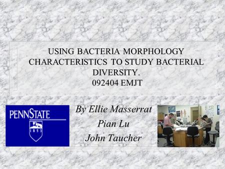 By Ellie Masserrat Pian Lu John Taucher USING BACTERIA MORPHOLOGY CHARACTERISTICS TO STUDY BACTERIAL DIVERSITY. 092404 EMJT.