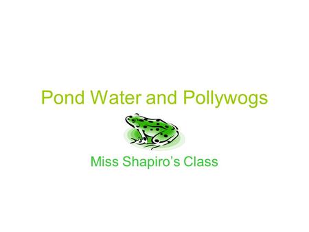 Pond Water and Pollywogs Miss Shapiro’s Class. We are raising frog eggs so they can turn into frogs. We have an aquarium in our classroom where the eggs.