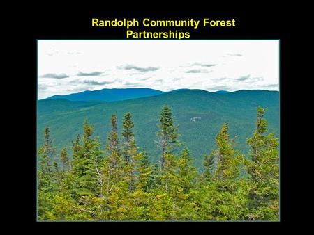 Randolph Community Forest Partnerships. R C F & Randolph Valley.
