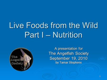 1 Live Foods from the Wild Part I – Nutrition A presentation for The Angelfish Society September 19, 2010 by Tamar Stephens.
