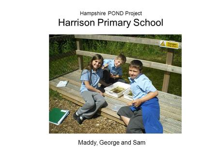 Hampshire POND Project Harrison Primary School Maddy, George and Sam.