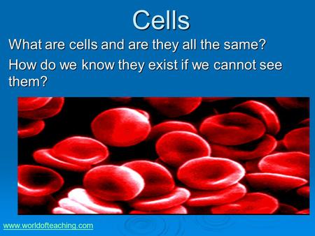 Cells What are cells and are they all the same?