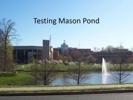 Testing Mason Pond. World Water Monitoring Challenge Kit.
