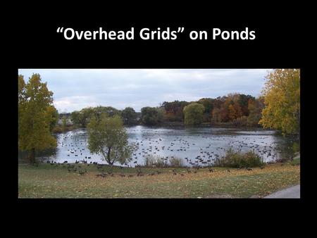 “Overhead Grids” on Ponds. Planning considerations Species and number Type of pond Maintenance Public access Vandalism Budget Gridding Ponds.