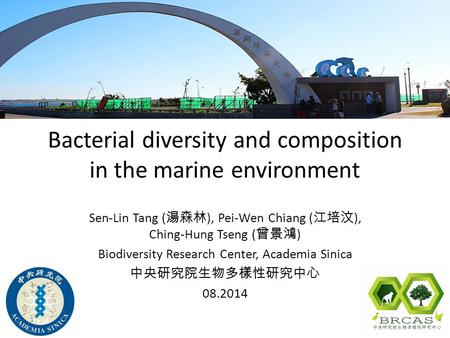 Bacterial diversity and composition in the marine environment Sen-Lin Tang ( 湯森林 ), Pei-Wen Chiang ( 江培汶 ), Ching-Hung Tseng ( 曾景鴻 ) Biodiversity Research.