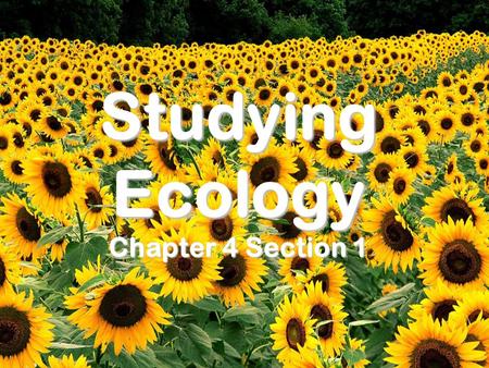 Studying Ecology Chapter 4 Section 1