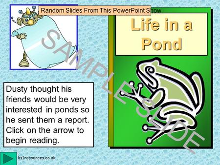 www.ks1resources.co.uk Life in a Pond Dusty thought his friends would be very interested in ponds so he sent them a report. Click on the arrow to begin.