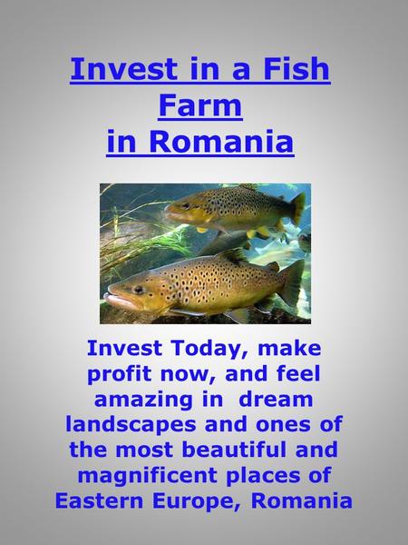 Invest in a Fish Farm in Romania Invest Today, make profit now, and feel amazing in dream landscapes and ones of the most beautiful and magnificent places.