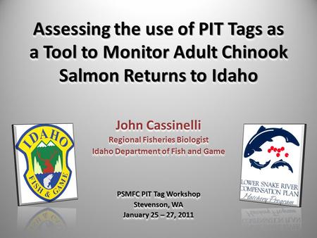 Assessing the use of PIT Tags as a Tool to Monitor Adult Chinook Salmon Returns to Idaho John Cassinelli Regional Fisheries Biologist Idaho Department.