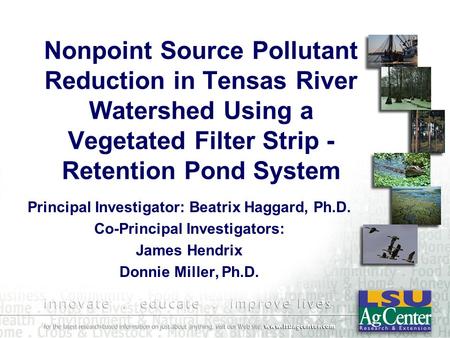 Nonpoint Source Pollutant Reduction in Tensas River Watershed Using a Vegetated Filter Strip - Retention Pond System Principal Investigator: Beatrix Haggard,