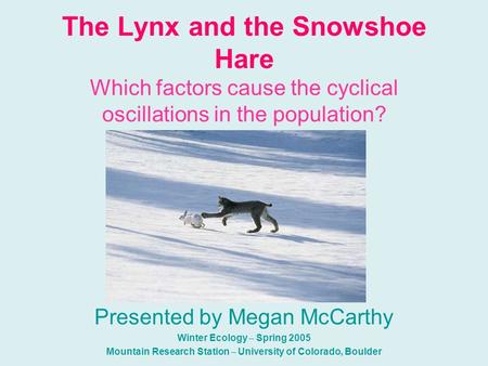 The Lynx and the Snowshoe Hare Which factors cause the cyclical oscillations in the population? Presented by Megan McCarthy Winter Ecology – Spring 2005.