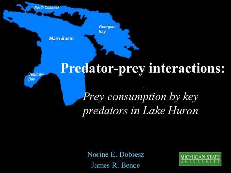 Norine E. Dobiesz James R. Bence Prey consumption by key predators in Lake Huron Predator-prey interactions:
