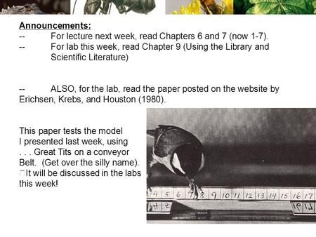 Announcements: --For lecture next week, read Chapters 6 and 7 (now 1-7). --For lab this week, read Chapter 9 (Using the Library and Scientific Literature)