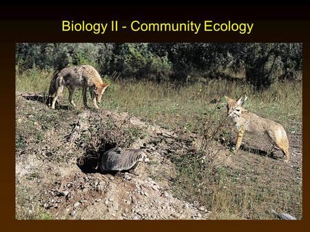 Biology II - Community Ecology. Community Concept A community is an assemblage of populations interacting with one another within the same environment.