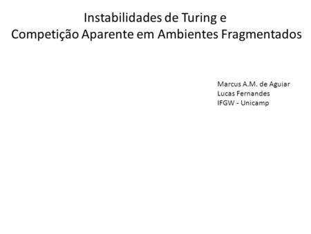 Instabilidades de Turing e Competição Aparente em Ambientes Fragmentados Marcus A.M. de Aguiar Lucas Fernandes IFGW - Unicamp.