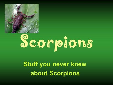 Stuff you never knew about Scorpions