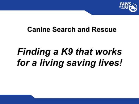 Canine Search and Rescue Finding a K9 that works for a living saving lives!