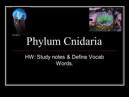 Phylum Cnidaria HW: Study notes & Define Vocab Words.