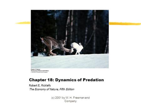 Chapter 18: Dynamics of Predation Robert E. Ricklefs The Economy of Nature, Fifth Edition (c) 2001 by W. H. Freeman and Company.